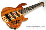 custom_6_string_bass_koa_3_large.jpg