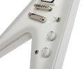 840d6e-P_SnowFalcon2.jpg
