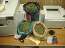 Herndon Pot Bust 2002.jpg