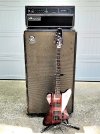 Epiphone Thunderbird Birdie w Ampeg SVT 810 8x10 + SVT 450.jpg