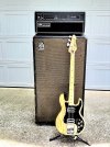 Peavey T-40 Natalie w Ampeg SVT 810 8x10 + SVT 450.jpg