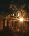 Sorrel Weed haunted house Savannah.jpg