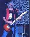 BK wighat Brownie Super Reverb.jpg