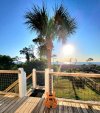 Mary Cape San Blas porch CSB 2023 bay palm.jpg