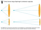 DiagVsmallLargeDiaph.jpg