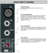 Mono Input channel.png