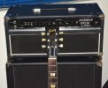dumble burst.jpg