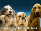 dogs-clap.gif
