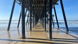 IMG_2293.jpeg IMG_2293.jpeg