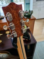 20251215_151719.jpg 20251215_151719.jpg