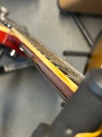 IMG_5506_Resized.jpg IMG_5506_Resized.jpg