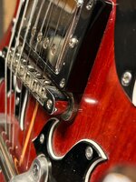 IMG_5515_Resized.jpg IMG_5515_Resized.jpg