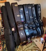 guitar cases 2026.jpeg