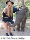 a-girl-with-elephant-in-zoo-14296535.png