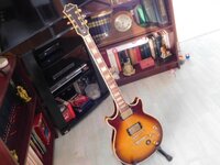 1979 Epi Geni custom 1.jpg
