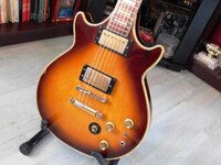 1979 Epi Geni custom 2.jpg