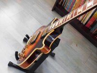 1979 Epi Geni custom 3.jpg