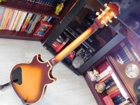 1979 Epi Geni custom 5.jpg