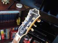 1979 Epi Geni custom 4.jpg