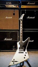 1775787920305.jpeg 1775787920305.jpeg