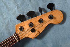 Headstock 5x@100.jpg