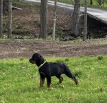IMG_0819.jpeg