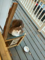 20251102_064629.jpg 20251102_064629.jpg