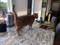 IMG_2026-05-05-054041.jpeg