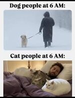 IMG_4136.jpeg