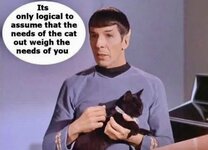 spock_cat.JPG