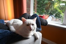 DSC_3617.JPG