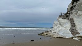 IMG_2595.jpeg