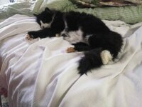 IMG_20260218_125921.jpg
