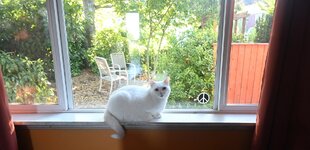 DSC_4933.JPG