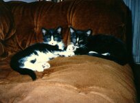 IMG_6867.jpeg