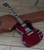 SG (699x800).jpg