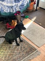 IMG_1559.jpeg