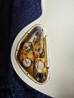 20260623_135624.jpg