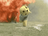 IMG_2724.gif
