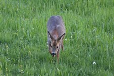 IMG_1977.jpeg