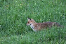 IMG_1980.jpeg