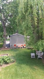 Yard full.jpg Yard full.jpg