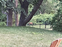 1783210259530.jpeg 1783210259530.jpeg