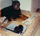 scan0007.jpg