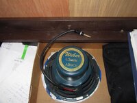 IMG_1203 (Large).JPG