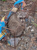 PXL_20260629_125403671.jpg