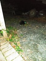 IMG_20231021_195529.jpg