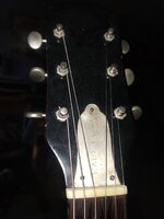 IMG_20260801_190046080.jpg