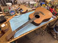 IMG_6336.jpeg