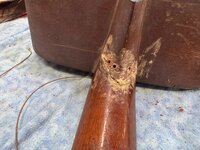 IMG_6346.jpeg